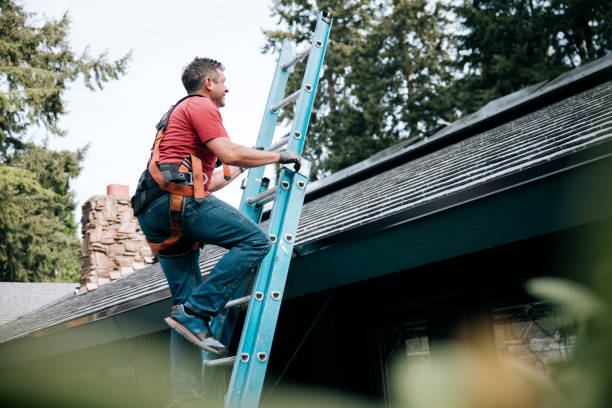 Best Roof Coating and Sealing  in Allendale, CA